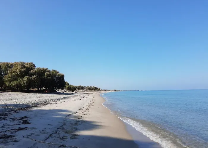 Hotel Evita Flamingo